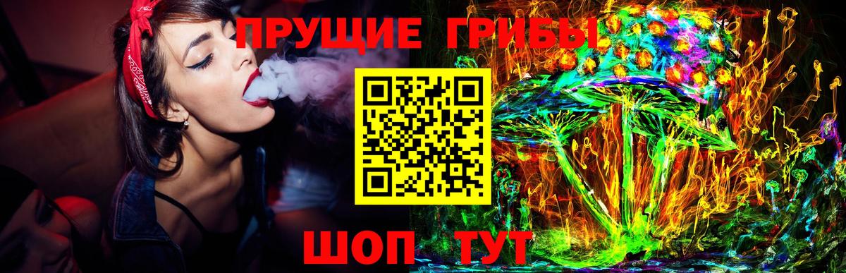 Псилоцибиновые грибы прущие грибы Заволжье