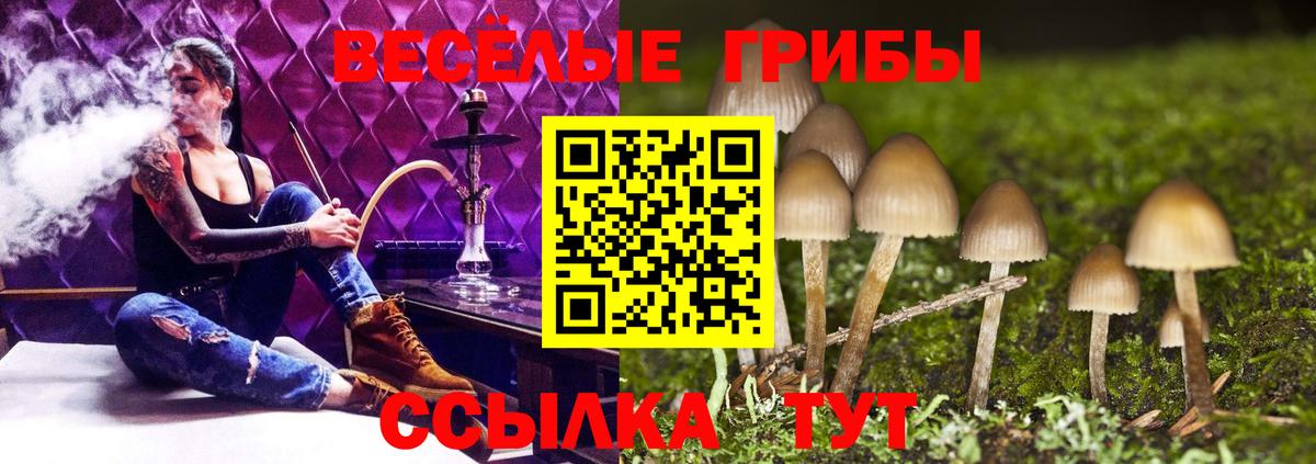 магазин продажи   Псилоцибиновые грибы MAGIC MUSHROOMS  Вход с VPN  Заволжье 