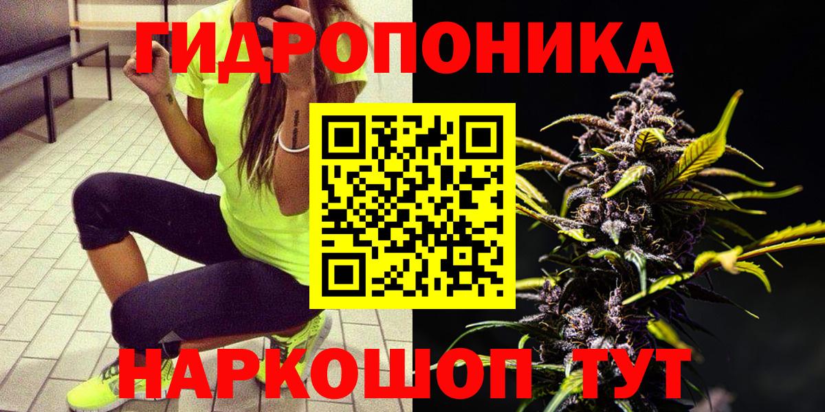 Канабис OG Kush  Каннабис Ganja  Каннабис планчик  МАРИХУАНА семена  Вход с VPN  Заволжье 